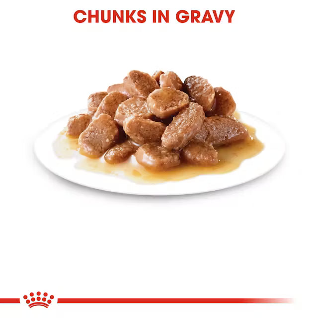 Royal Canin Ageing 12+ Wet Cat Food in Gravy